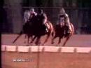 WISN TV 1979 Horse Race Promo