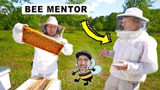 Bee Hive Inspection with the Bee Mentor
