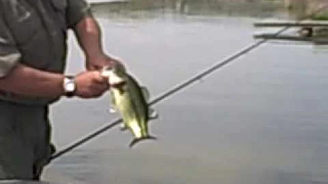 Gary Engberg Outdoors Fishes with Pro and Guide Ro...