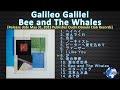 Galileo Galilei - Bee and The Whales [2023] (snippet of songs)