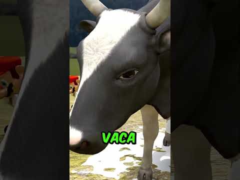 La CANCION de