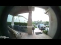 Ring Doorbell captures neighbor using my porch as litter box