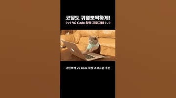 귀염뽀짝 VS Code 확장 프로그램 추천!