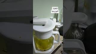 فوائد شجره المورينجا