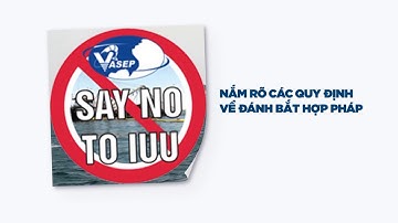 Các quy định chủ tàu và ngư dân cần ghi nhớ trước khi ra khơi và cập cảng (Bản ngắn cho truyền hình)