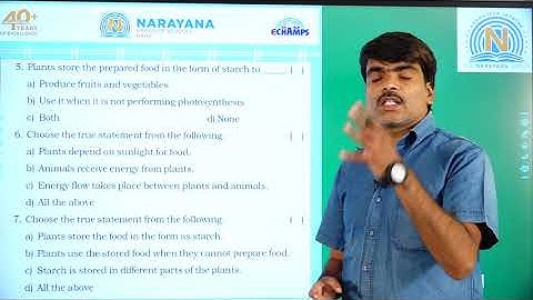 14TH AUG PAN INDIA CLASS IV SCIENCE REVISION ASSIGNMENT KEY