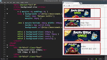 CSS 배경 이미지를 채우는 방법 (background-size)