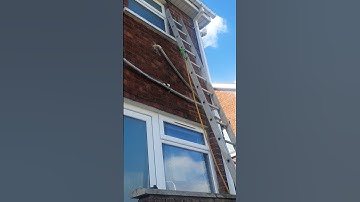 Wasp Nest Treatment 😂