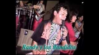Video thumbnail of "El Felino Randy - Brindo por ella"