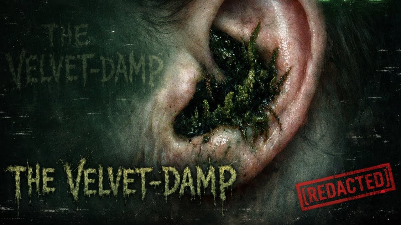 The Velvet-Damp | Appalachian Folk Horror (Scary Stories to Sleep To)