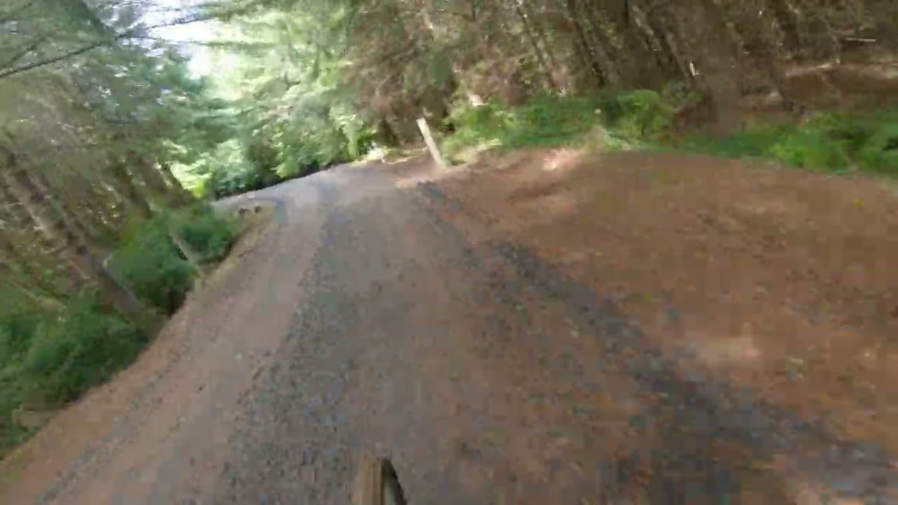 Whiskey Run: Blind Tiger