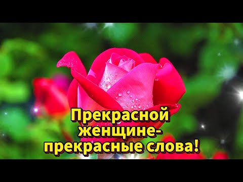 💝ПРЕКРАСНОЙ ЖЕНЩИНЕ - ПРЕКРАСНЫЕ СЛОВА! 💝КРАСИВЫЕ ЦВЕТЫ ДЛЯ САМОЙ ЛУЧШЕЙ! 💝🌹🌹🌹🌹🌹🌹🌹🌹🌹🌹🌹🌹🌹🌹🌹🌹🌹🌹🌹🌹🌹🌹🌹🌹🌹