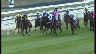 Stratifies at Nowra 25 August 2013