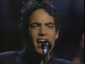 Capture de la vidéo The Wallflowers - Unplugged