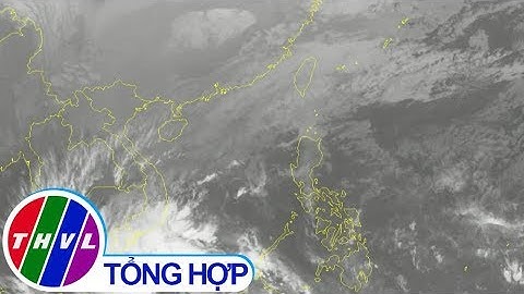 THVL | Bão số 1 mạnh thêm, giật cấp 12, Nam Bộ mưa rất to