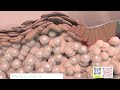 анатомия 3D причины GERD Гастроэзофагеальная рефлюксная болезнь Изжога