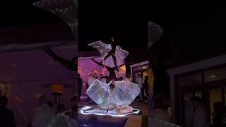 LED Wings show in San Diego