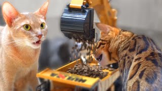Juguete de excavadora con alimentador automático para gatosㅣDino cat