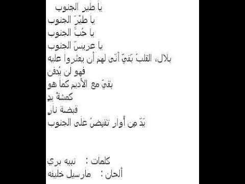 يا طي ر الجنوب يا ح ب الجنوب 3