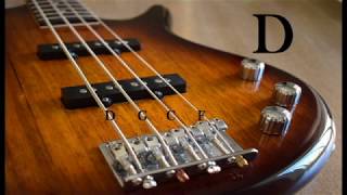 Bass Whole Step Down Tuning