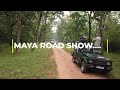 MAYA ROAD SHOW #TADOBA #WILDLIFE #TIGER #INDIANJUNGLE #INDIANWILDLIFE