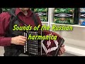 Sounds of the Russian harmonica  My village