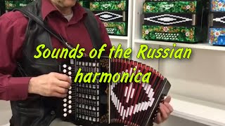 Sounds of the Russian harmonica  My village