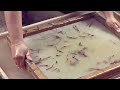 1000 moons  papermaking