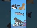 神の魚【サケ】
