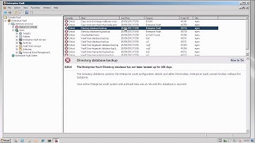 Enteprise Vault: System Status