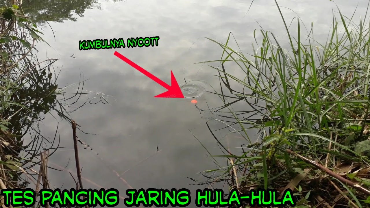Keren ‼ Tes Pancing Jaring Hula-Hula Gak Pake Lama Langsung Strike | Dua Kail