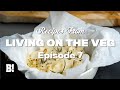 We made VEGAN CAMEMBERT and loads more! - Living On The Veg Ep.7