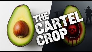 Blood Avocados — The Cartel War Behind the World’s Favorite Fruit