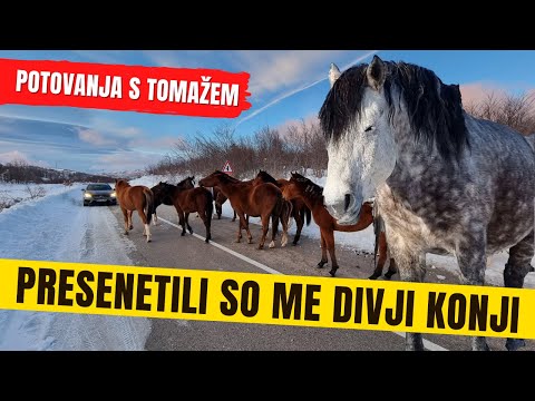 Video: Je potovanje ali potovanje?