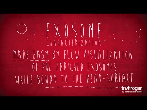 Vidéo: Isolement Direct Et Caractérisation Des Exosomes En Circulation à Partir D'échantillons Biologiques à L'aide De Nanofils Magnétiques