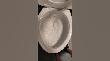 2020s Kohler highline arc toilet