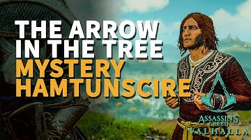 The Arrow In The Tree Assassin
