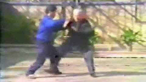 Fu Zhongwen 傅钟文 1903 1994 Student of Yang Chengfu.  With Fu Shengyuan 傅声远 and Wang Rongda 王荣达