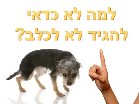 וִידֵאוֹ: למה הכלב שלי לעולם לא יתקבל מלונה [רק בכל מקום]