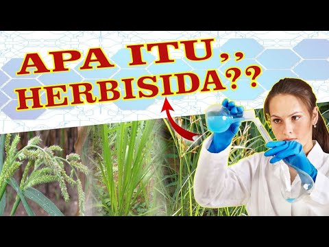 Video: Apa definisi herbisida?