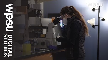 Discovering structural color | Mission: Materials Science – Scientists in Action