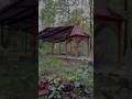 यूँ ही चलते चलते | Hariyali | Nature |#Shorts