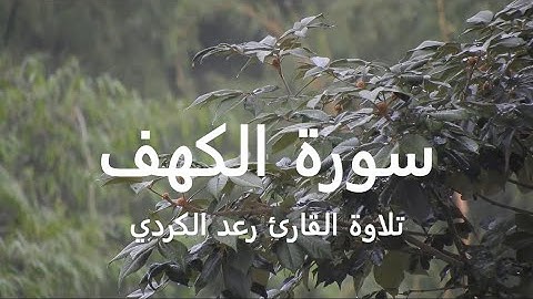 Surah Al Kahf (with Rain) | سورة الكهف مع صوت المطر بتلاوة القارئ رعد الكردي
