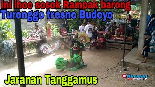 Ini lhoo sosok Rampak barong Turonggo tresno Budoyo || Jaranan Tanggamus @Nurman exclusive