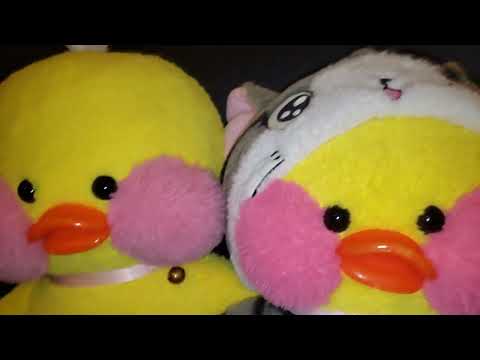 #lalafanfan Распаковка посылки для утки Katy Brands Mini Toys #лалафанфан Duck Lili уточка игрушки