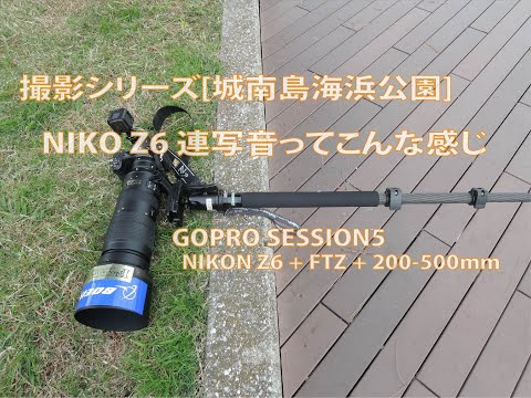 [#144] NIKO Z6 連写音ってこんな感じ