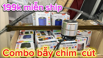 Bộ cung bẫy cút  giá rẻ , bẫy  hiệu quả.   Loa bẫy chim cút giá rẻ miễn ship toàn quốc