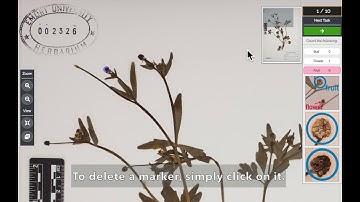 CC tutorial video V1.5