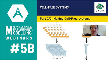 Week #5B: Cell-Free Systems  2/3: Making Cell-Free systems (making lysate, CF mix )