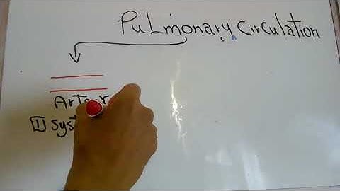 CVS new system (Pulmonary circulation) dr mohamed fayez